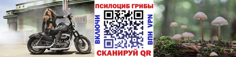 Псилоцибиновые грибы мухоморы  Купить где  Аткарск 