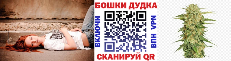 Каннабис OG Kush Аткарск